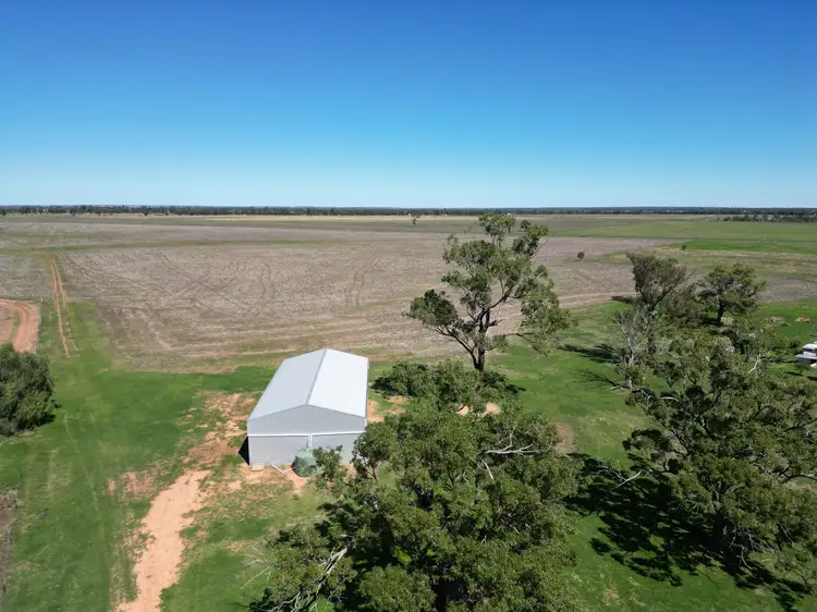 Fifth view of Homely rural property listing, 678 Arthursleigh, Gilgandra NSW 2827