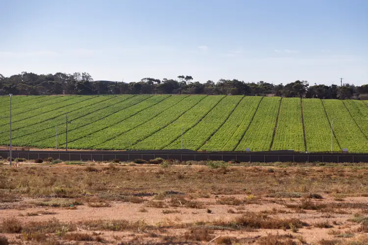 Sixth view of Homely land listing, Lot 17 Lovers Lane, Swanport via, Murray Bridge SA 5253