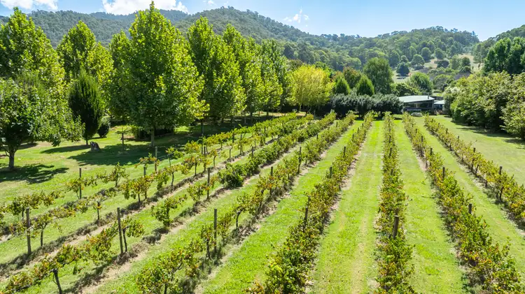 Third view of Homely rural property listing, 217a Simmonds Creek Road, Tawonga South VIC 3698