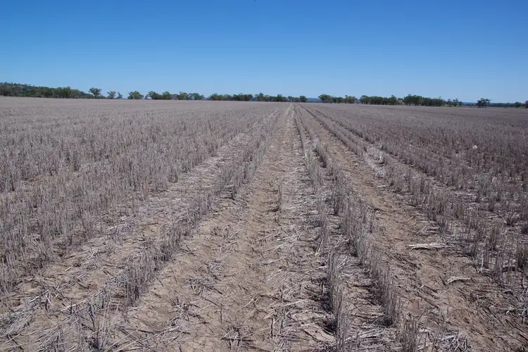Third view of Homely rural property listing, 15309 Kamilaroi Highway, Narrabri NSW 2390