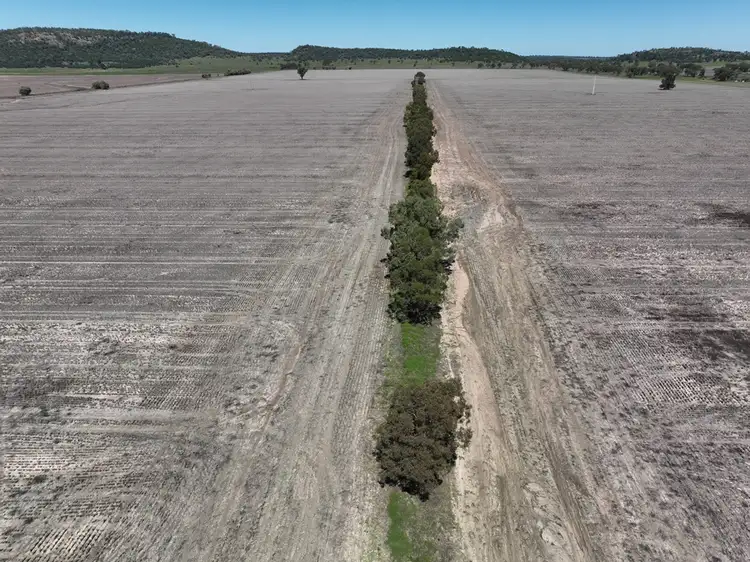 Fourth view of Homely rural property listing, 15309 Kamilaroi Highway, Narrabri NSW 2390