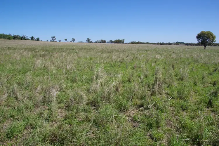 Fifth view of Homely rural property listing, 15309 Kamilaroi Highway, Narrabri NSW 2390