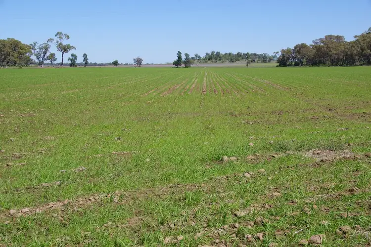 Sixth view of Homely rural property listing, 15309 Kamilaroi Highway, Narrabri NSW 2390
