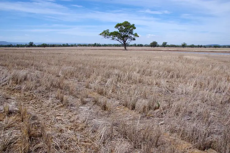 1200 Old Narrabri Road, Narrabri NSW 2390