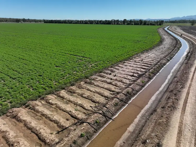 Fourth view of Homely rural property listing, 1200 Old Narrabri Road, Narrabri NSW 2390