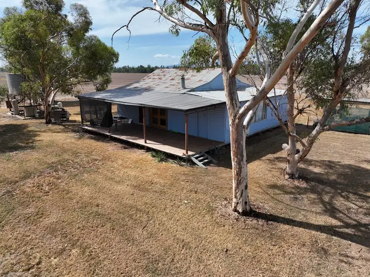 Sixth view of Homely rural property listing, 1200 Old Narrabri Road, Narrabri NSW 2390