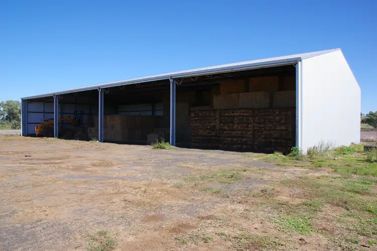 Seventh view of Homely rural property listing, 1200 Old Narrabri Road, Narrabri NSW 2390