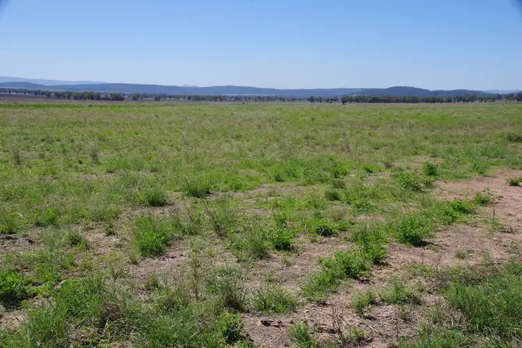 Fourth view of Homely rural property listing, 15239 Kamilaroi Highway, Narrabri NSW 2390