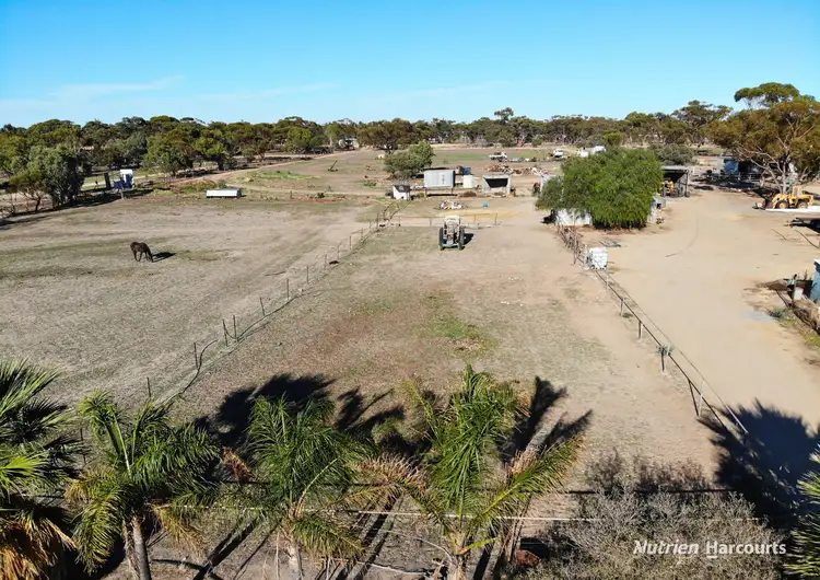 Fifth view of Homely house listing, 21 King Street, Kellerberrin WA 6410