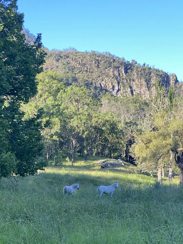 Main view of Homely land listing, LOT 19 Top Swanfels Road, Swanfels QLD 4371