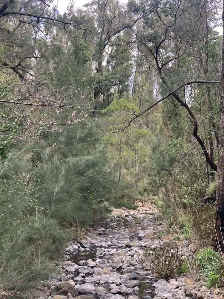 Fifth view of Homely land listing, LOT 19 Top Swanfels Road, Swanfels QLD 4371