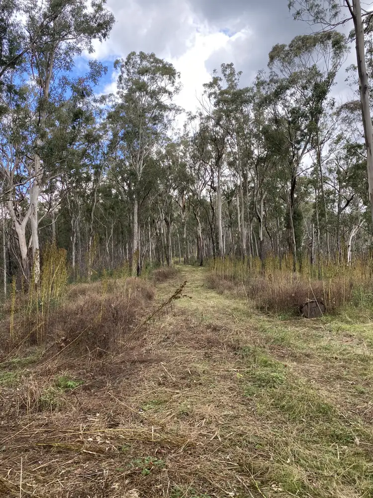 Sixth view of Homely land listing, LOT 19 Top Swanfels Road, Swanfels QLD 4371