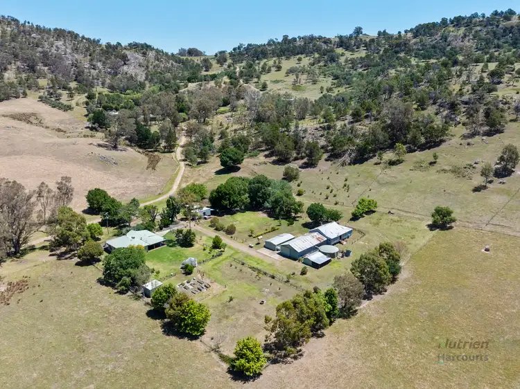 100 Mt Cecelia Road