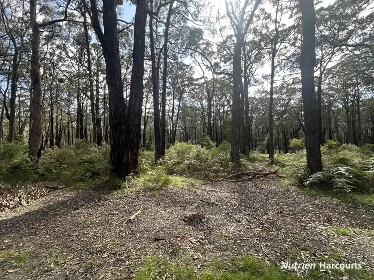 Fourth view of Homely rural property listing, Lot 1 Albert River Welshpool Road, Binginwarri VIC 3966