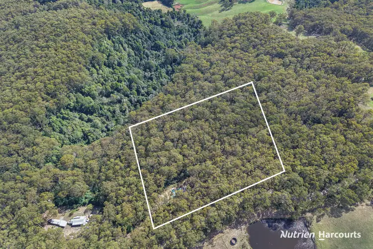 565 Hedley Range Road, Binginwarri VIC 3966