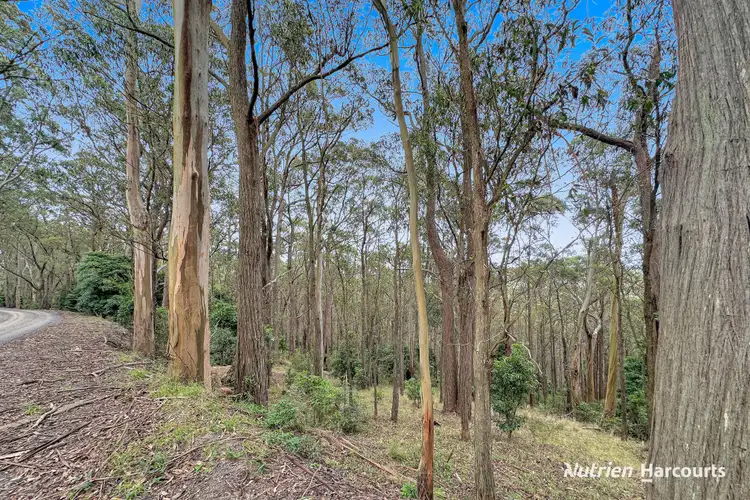 Third view of Homely rural property listing, 565 Hedley Range Road, Binginwarri VIC 3966