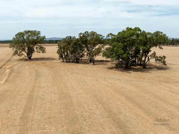 Sixth view of Homely rural property listing, Lot 1, 2, 3 & 4 Cnr Coombs Road & Aerodrome Road, Mangalore VIC 3663