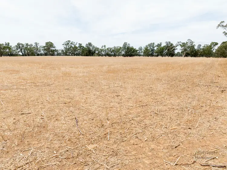 Seventh view of Homely rural property listing, Lot 1, 2, 3 & 4 Cnr Coombs Road & Aerodrome Road, Mangalore VIC 3663