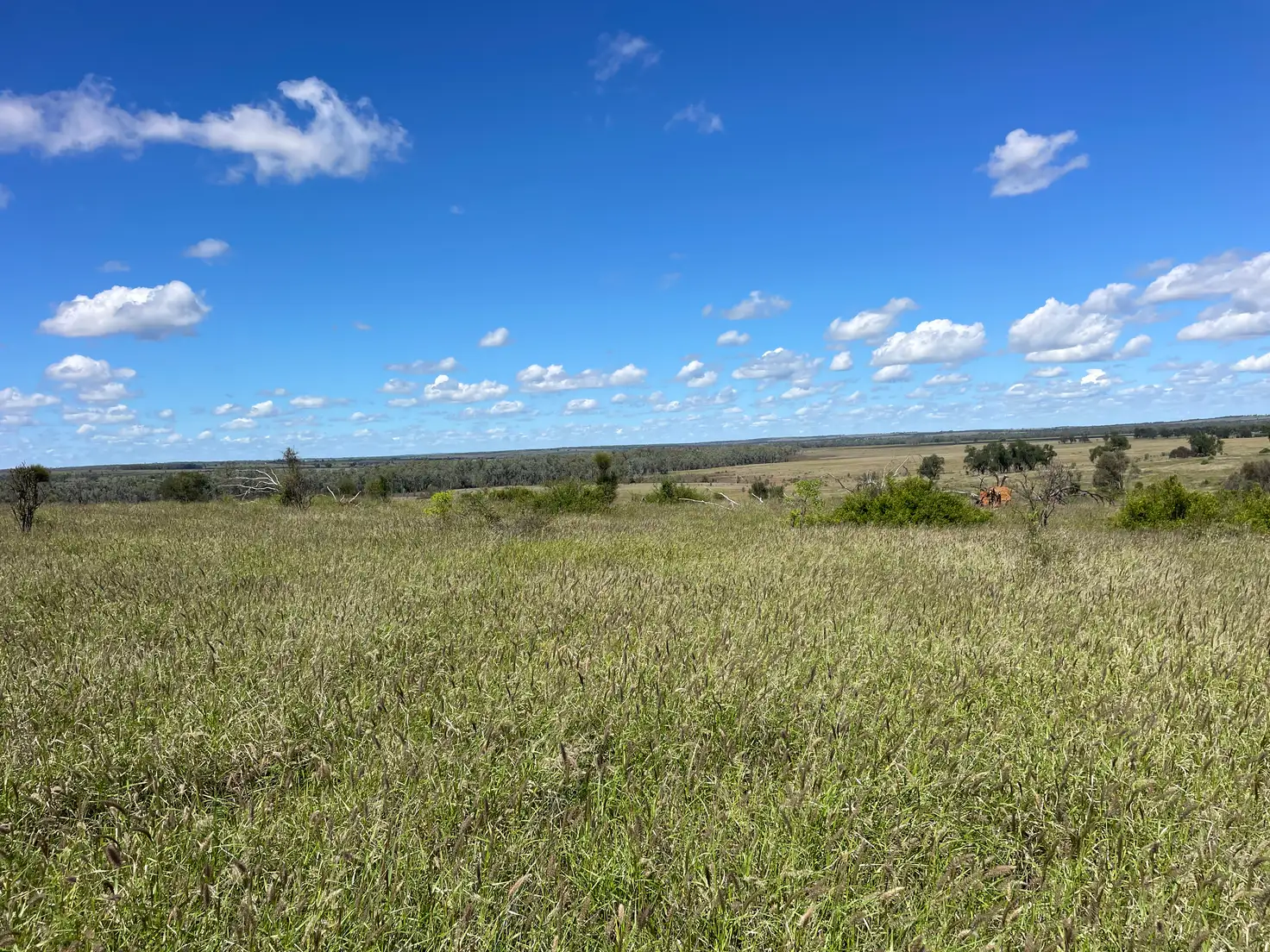 Main view of Homely rural property listing, 2344 The Bend Road, Taroom QLD 4420