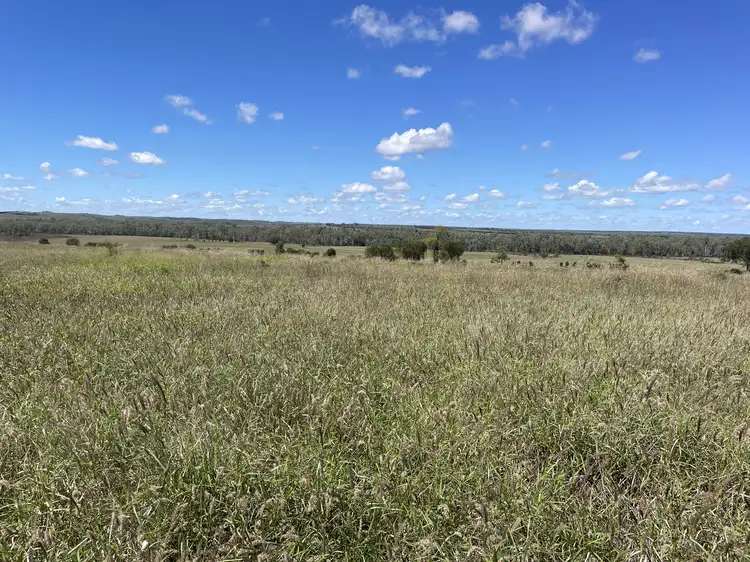 Fourth view of Homely rural property listing, 2344 The Bend Road, Taroom QLD 4420