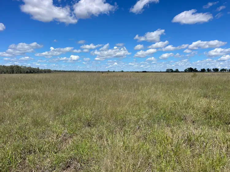 Seventh view of Homely rural property listing, 2344 The Bend Road, Taroom QLD 4420