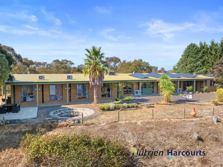 8 Old Spring Valley Road, Flowerdale VIC 3717