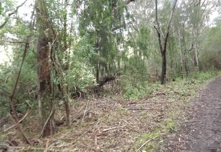 Second view of Homely rural property listing, . Yearsley Road, Broadmarsh TAS 7030