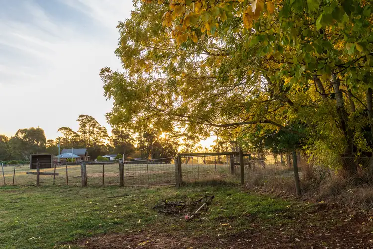 Fourth view of Homely house listing, 61 Archer Street, Deloraine TAS 7304