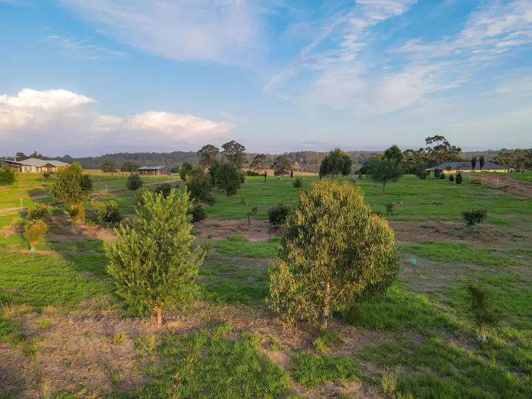 Fifth view of Homely land listing, 216 Golf Links Road, Pemberton WA 6260