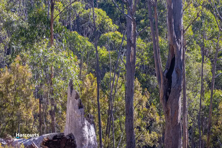 Sixth view of Homely land listing, 540 North Huon Road, Ranelagh TAS 7109