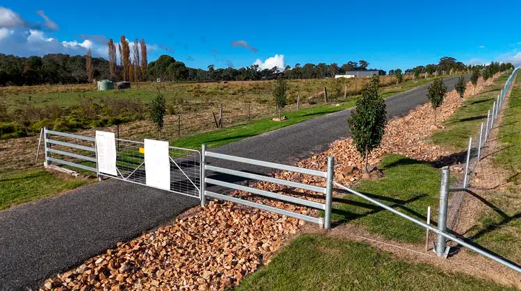 Second view of Homely rural property listing, 31B Leeches Gully Road, Tenterfield NSW 2372