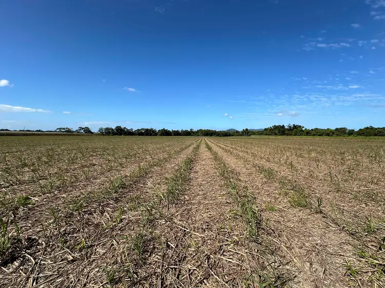 Address available on request