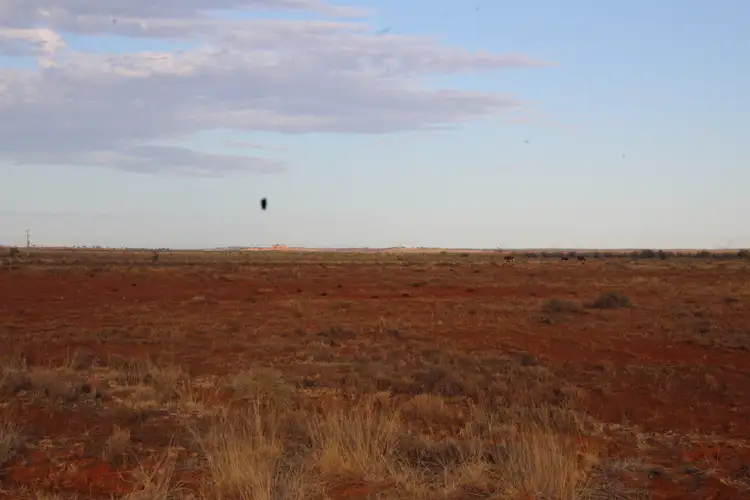 Fourth view of Homely rural property listing, 4453 Barrier Highway, Wilcannia NSW 2836