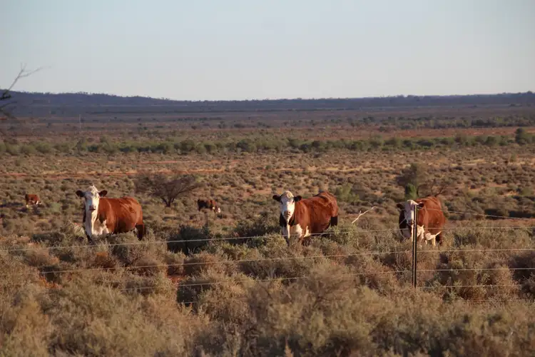 Fifth view of Homely rural property listing, 4453 Barrier Highway, Wilcannia NSW 2836