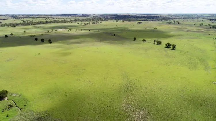 Sixth view of Homely rural property listing, "Turraden" 1517 Booral Road, Wandoan QLD 4419
