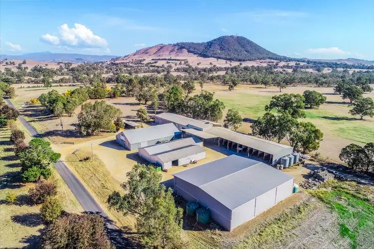 129 Olivers Road, Mansfield VIC 3722
