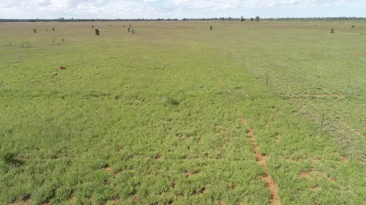 Third view of Homely rural property listing, 'Ula Ula' 210 Ula Ula Road, St George QLD 4487