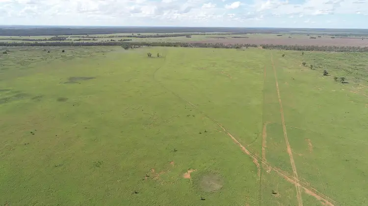 Sixth view of Homely rural property listing, 'Ula Ula' 210 Ula Ula Road, St George QLD 4487