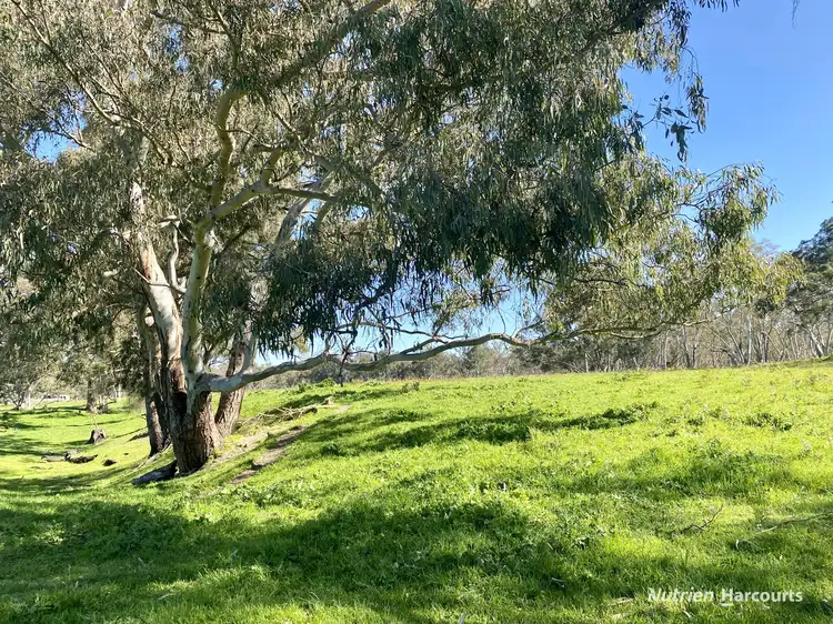 Sixth view of Homely rural property listing, 1 North Killara Road, Bahgallah VIC 3312