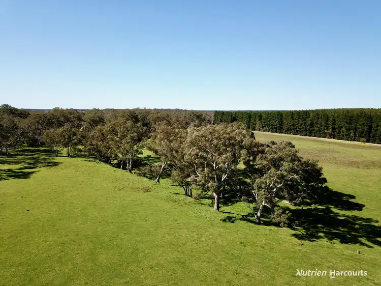 Seventh view of Homely rural property listing, 1 North Killara Road, Bahgallah VIC 3312