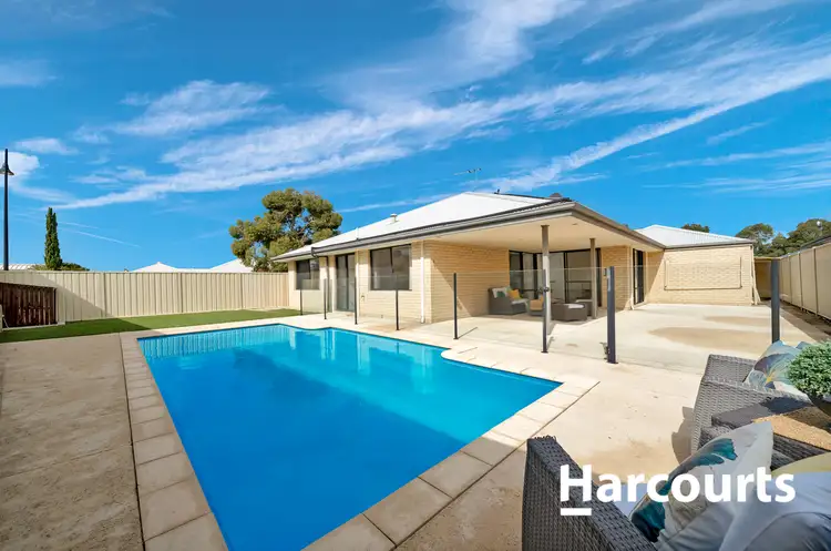 Main view of Homely house listing, 31 Sundowner Meander, Banksia Grove WA 6031