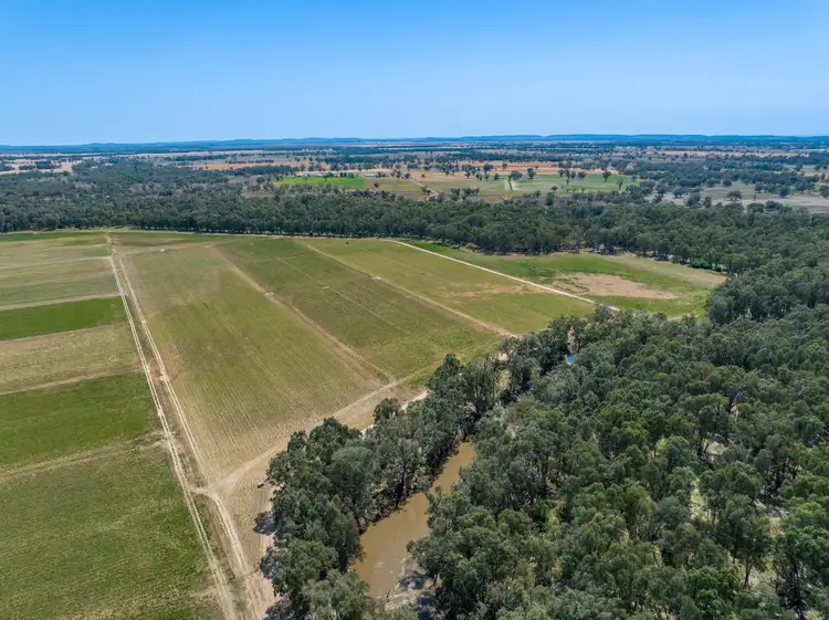Third view of Homely rural property listing, 194 Macphillamys Lane, Forbes NSW 2871