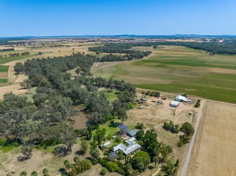Seventh view of Homely rural property listing, 194 Macphillamys Lane, Forbes NSW 2871