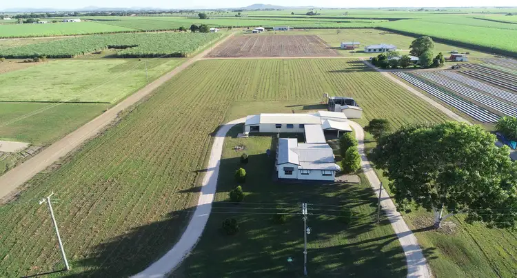 Main view of Homely house listing, 31-39 Woods Street, Ayr QLD 4807