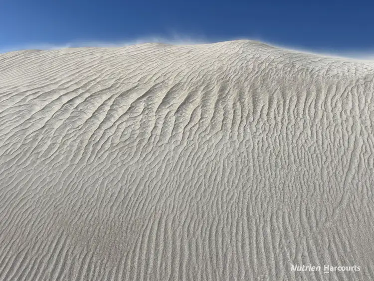 Fifth view of Homely rural property listing, . Bootoo Street, Lancelin WA 6044