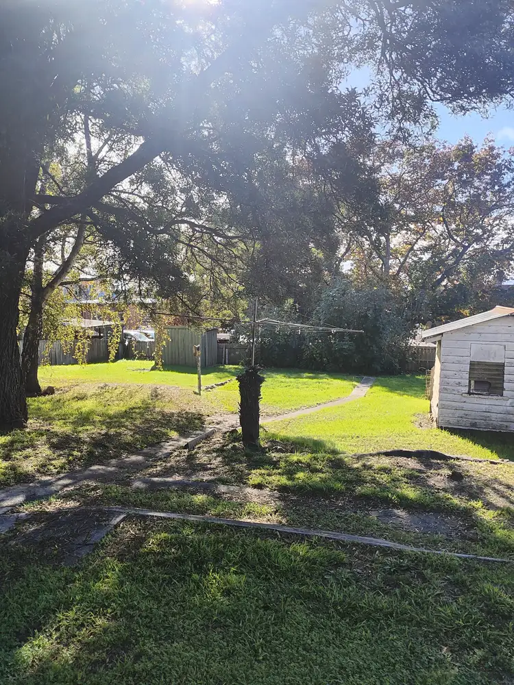 Second view of Homely house listing, 10 Alfred St, Scottsdale TAS 7260