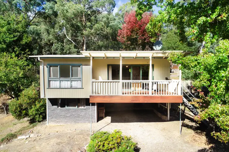 Main view of Homely house listing, 4 Finch Street, Sawmill Settlement VIC 3723