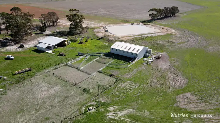 1987 Speddingup Road East