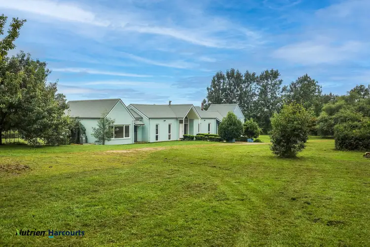 Sixth view of Homely rural property listing, 506 Sawyers Ridge Road, Braidwood NSW 2622