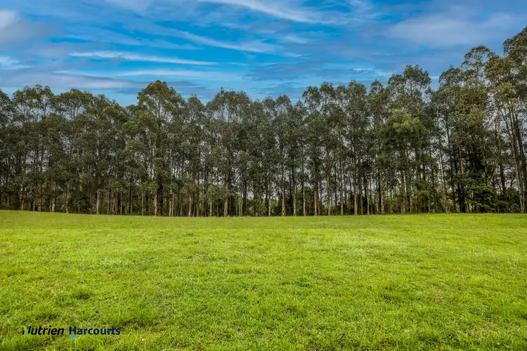 Seventh view of Homely rural property listing, 506 Sawyers Ridge Road, Braidwood NSW 2622